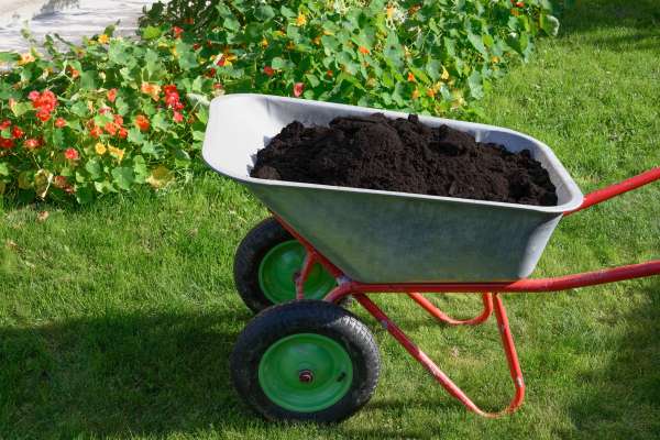 Soil inside of a wheel borrow.