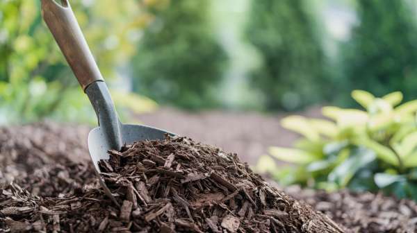 Mulch being dropped down for landscaping